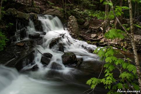 Une image contenant nature, arbre, eau, chute deau

Description gnre automatiquement