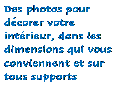 Zone de Texte: Des photos pour dcorer votre intrieur, dans les dimensions qui vous conviennent et sur tous supports